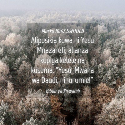 Picture 04 - Marko 10:47 SWHULB - Aliposikia kuwa ni Yesu Mnazareti, alianza kupiga - Bible Verse Picture