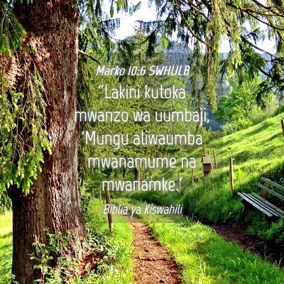 Picture 04 - Marko 10:6 SWHULB - “Lakini kutoka mwanzo wa uumbaji, 'Mungu - Bible Verse Picture