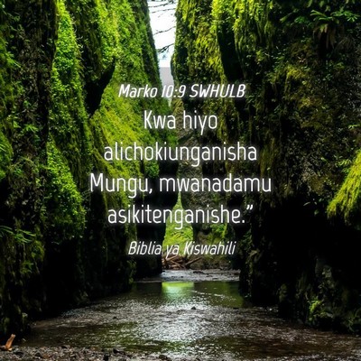 Picture 04 - Marko 10:9 SWHULB - Kwa hiyo alichokiunganisha Mungu, mwanadamu - Bible Verse Picture