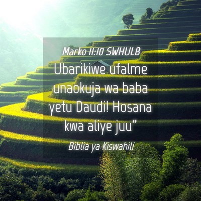 Picture 04 - Marko 11:10 SWHULB - Ubarikiwe ufalme unaokuja wa baba yetu Daudi! - Bible Verse Picture