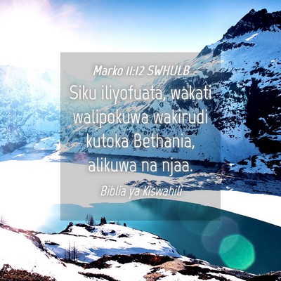 Picture 04 - Marko 11:12 SWHULB - Siku iliyofuata, wakati walipokuwa wakirudi - Bible Verse Picture