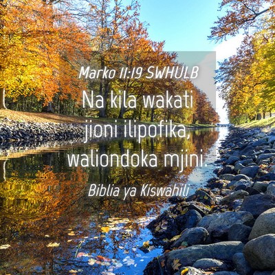 Picture 04 - Marko 11:19 SWHULB - Na kila wakati jioni ilipofika, waliondoka - Bible Verse Picture