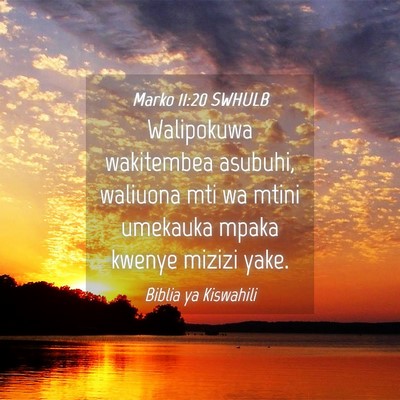 Picture 04 - Marko 11:20 SWHULB - Walipokuwa wakitembea asubuhi, waliuona mti wa - Bible Verse Picture