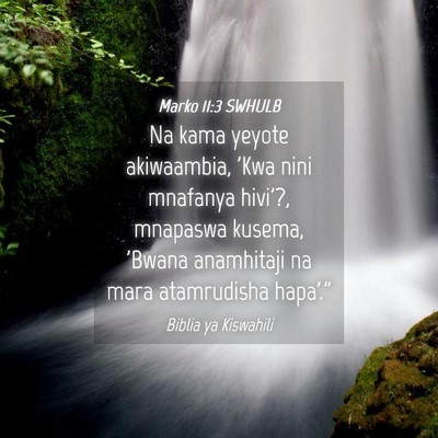 Picture 04 - Marko 11:3 SWHULB - Na kama yeyote akiwaambia, 'Kwa nini mnafanya - Bible Verse Picture