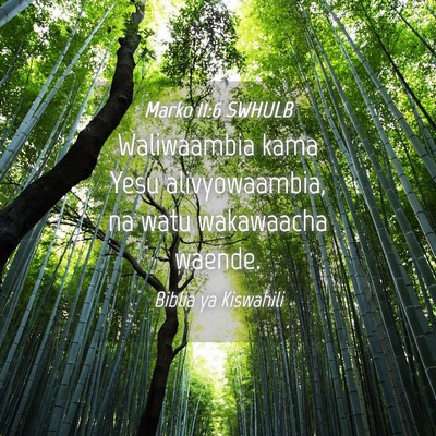 Picture 04 - Marko 11:6 SWHULB - Waliwaambia kama Yesu alivyowaambia, na watu - Bible Verse Picture