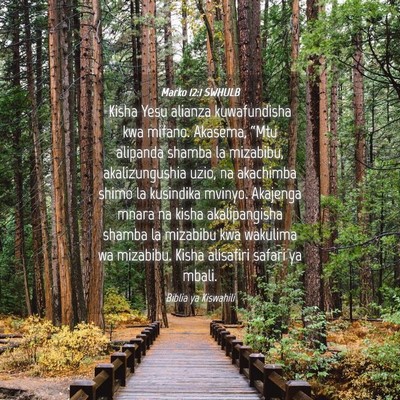 Picture 04 - Marko 12:1 SWHULB - Kisha Yesu alianza kuwafundisha kwa mifano. - Bible Verse Picture