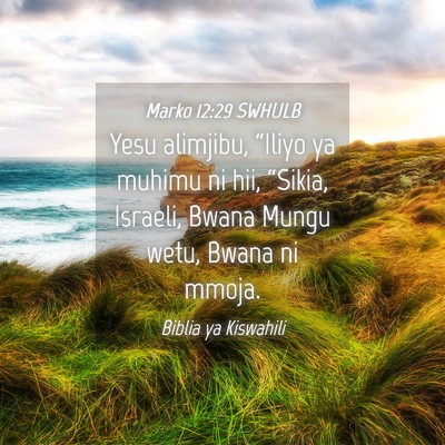 Picture 04 - Marko 12:29 SWHULB - Yesu alimjibu, “Iliyo ya muhimu ni hii, - Bible Verse Picture