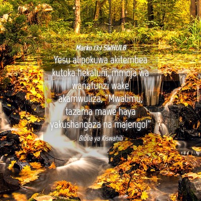 Picture 04 - Marko 13:1 SWHULB - Yesu alipokuwa akitembea kutoka hekaluni, mmoja - Bible Verse Picture