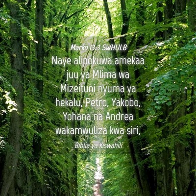 Picture 04 - Marko 13:3 SWHULB - Naye alipokuwa amekaa juu ya Mlima wa Mizeituni - Bible Verse Picture