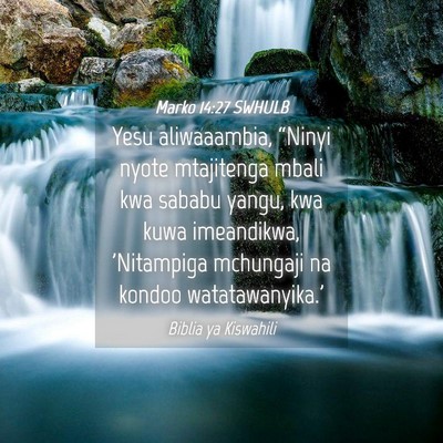Picture 04 - Marko 14:27 SWHULB - Yesu aliwaaambia, “Ninyi nyote mtajitenga mbali - Bible Verse Picture