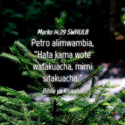 Picture 04 - Marko 14:29 SWHULB - Petro alimwambia, “Hata kama wote watakuacha, - Bible Verse Picture