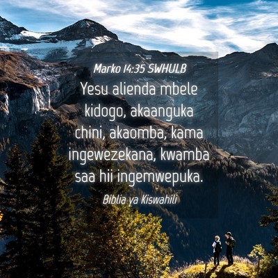 Picture 04 - Marko 14:35 SWHULB - Yesu alienda mbele kidogo, akaanguka chini, - Bible Verse Picture