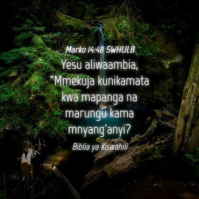 Picture 04 - Marko 14:48 SWHULB - Yesu aliwaambia, “Mmekuja kunikamata kwa - Bible Verse Picture