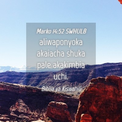 Picture 04 - Marko 14:52 SWHULB - aliwaponyoka akaiacha shuka pale akakimbia - Bible Verse Picture