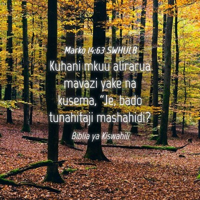 Picture 04 - Marko 14:63 SWHULB - Kuhani mkuu alirarua mavazi yake na kusema, - Bible Verse Picture