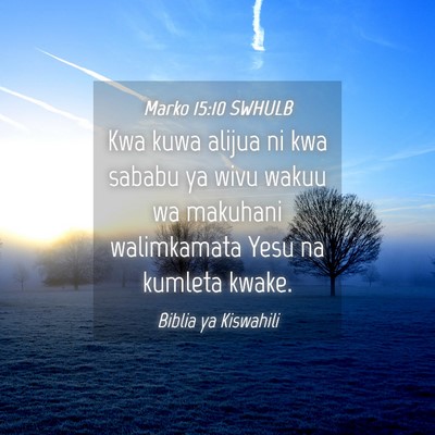 Picture 04 - Marko 15:10 SWHULB - Kwa kuwa alijua ni kwa sababu ya wivu wakuu wa - Bible Verse Picture