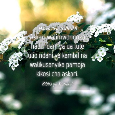 Picture 04 - Marko 15:16 SWHULB - Askari walimwongoza hadi ndani ya ua (ule ulio - Bible Verse Picture