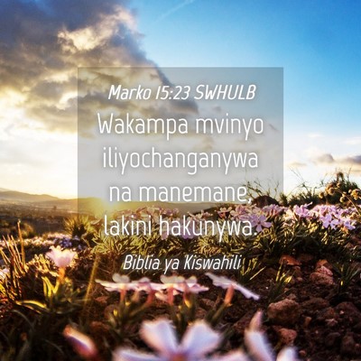 Picture 04 - Marko 15:23 SWHULB - Wakampa mvinyo iliyochanganywa na manemane, - Bible Verse Picture