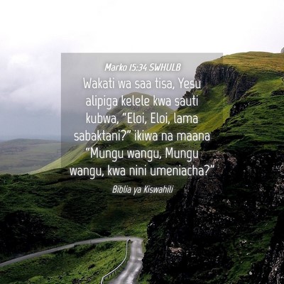 Picture 04 - Marko 15:34 SWHULB - Wakati wa saa tisa, Yesu alipiga kelele kwa sauti - Bible Verse Picture