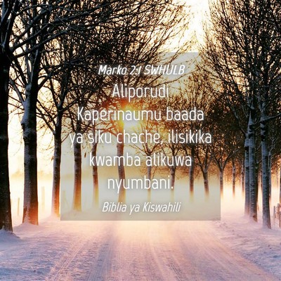 Picture 04 - Marko 2:1 SWHULB - Aliporudi Kaperinaumu baada ya siku chache, - Bible Verse Picture