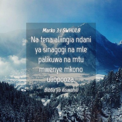 Picture 04 - Marko 3:1 SWHULB - Na tena aliingia ndani ya sinagogi na mle - Bible Verse Picture