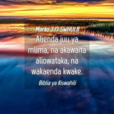Picture 04 - Marko 3:13 SWHULB - Alienda juu ya mlima, na akawaita aliowataka, na - Bible Verse Picture