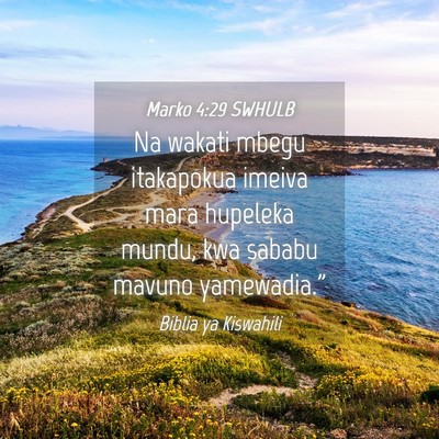 Picture 04 - Marko 4:29 SWHULB - Na wakati mbegu itakapokua imeiva mara hupeleka - Bible Verse Picture