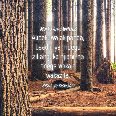 Picture 04 - Marko 4:4 SWHULB - Alipokuwa akipanda, baadhi ya mbegu zilianguka - Bible Verse Picture