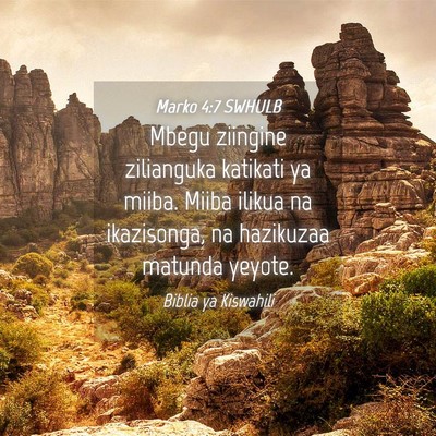 Picture 04 - Marko 4:7 SWHULB - Mbegu ziingine zilianguka katikati ya miiba. - Bible Verse Picture