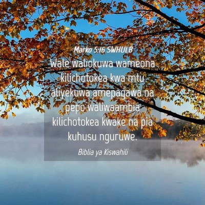 Picture 04 - Marko 5:16 SWHULB - Wale waliokuwa wameona kilichotokea kwa mtu - Bible Verse Picture