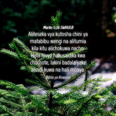 Picture 04 - Marko 5:26 SWHULB - Aliteseka vya kutosha chini ya matabibu wengi na - Bible Verse Picture
