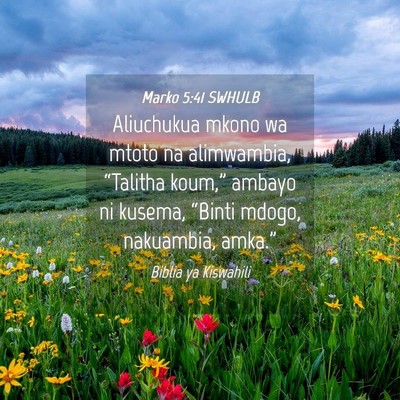 Picture 04 - Marko 5:41 SWHULB - Aliuchukua mkono wa mtoto na alimwambia, - Bible Verse Picture