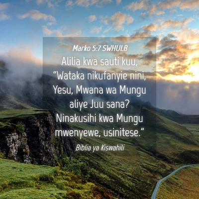 Picture 04 - Marko 5:7 SWHULB - Alilia kwa sauti kuu, “Wataka nikufanyie nini, - Bible Verse Picture