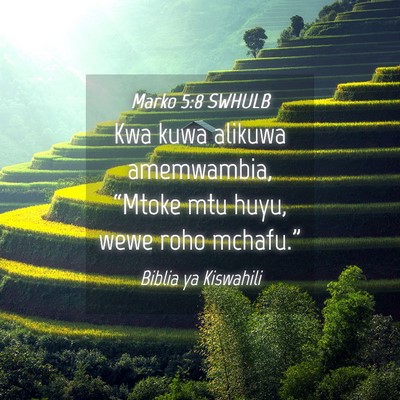 Picture 04 - Marko 5:8 SWHULB - Kwa kuwa alikuwa amemwambia, “Mtoke mtu huyu, - Bible Verse Picture