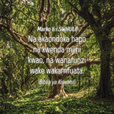 Picture 04 - Marko 6:1 SWHULB - Na akaondoka hapo na kwenda mjini kwao, na - Bible Verse Picture