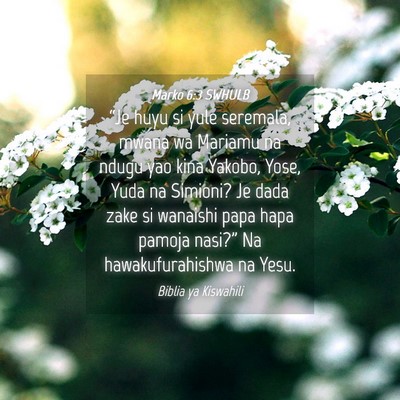 Picture 04 - Marko 6:3 SWHULB - “Je huyu si yule seremala, mwana wa Mariamu na - Bible Verse Picture