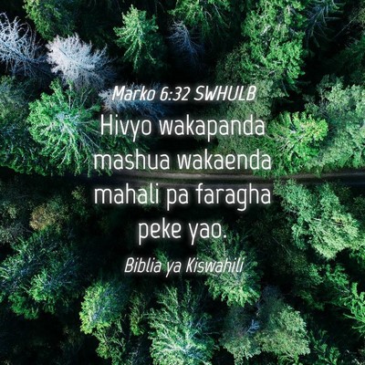 Picture 04 - Marko 6:32 SWHULB - Hivyo wakapanda mashua wakaenda mahali pa faragha - Bible Verse Picture
