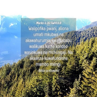 Picture 04 - Marko 6:34 SWHULB - Walipofika pwani, aliona umati mkubwa na - Bible Verse Picture