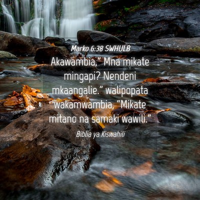 Picture 04 - Marko 6:38 SWHULB - Akawambia,” Mna mikate mingapi? Nendeni - Bible Verse Picture