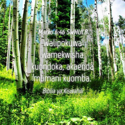 Picture 04 - Marko 6:46 SWHULB - Walipokuwa wamekwisha kuondoka, akaenda mlimani - Bible Verse Picture