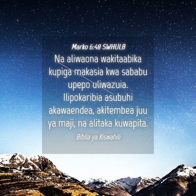Picture 04 - Marko 6:48 SWHULB - Na aliwaona wakitaabika kupiga makasia kwa sababu - Bible Verse Picture