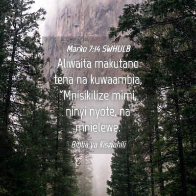 Picture 04 - Marko 7:14 SWHULB - Aliwaita makutano tena na kuwaambia, - Bible Verse Picture