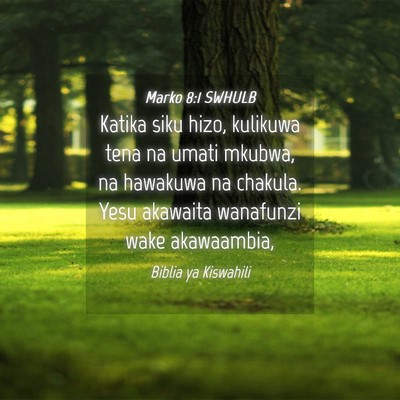 Picture 04 - Marko 8:1 SWHULB - Katika siku hizo, kulikuwa tena na umati mkubwa, - Bible Verse Picture