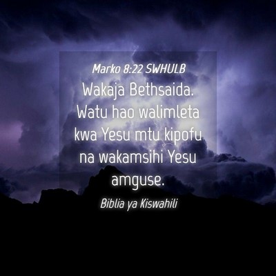 Picture 04 - Marko 8:22 SWHULB - Wakaja Bethsaida. Watu hao walimleta kwa Yesu mtu - Bible Verse Picture
