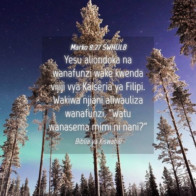 Picture 04 - Marko 8:27 SWHULB - Yesu aliondoka na wanafunzi wake kwenda vijiji - Bible Verse Picture