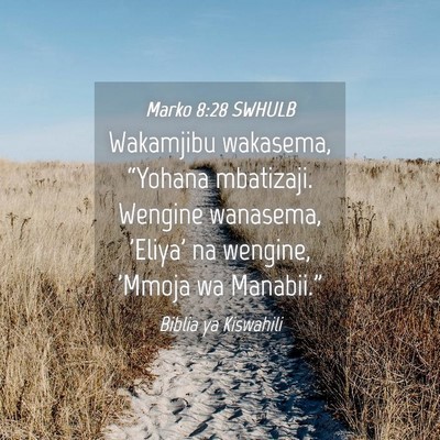 Picture 04 - Marko 8:28 SWHULB - Wakamjibu wakasema, “Yohana mbatizaji. Wengine - Bible Verse Picture