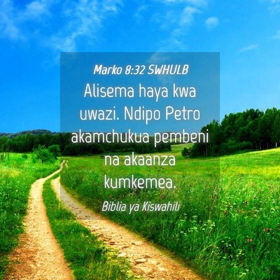 Picture 04 - Marko 8:32 SWHULB - Alisema haya kwa uwazi. Ndipo Petro akamchukua - Bible Verse Picture