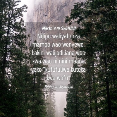 Picture 04 - Marko 9:10 SWHULB - Ndipo waliyatunza mambo wao wenyewe. Lakini - Bible Verse Picture