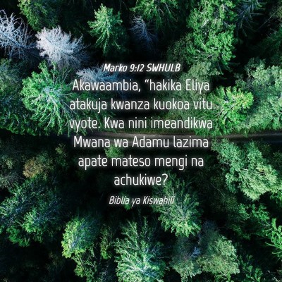 Picture 04 - Marko 9:12 SWHULB - Akawaambia, “hakika Eliya atakuja kwanza kuokoa - Bible Verse Picture