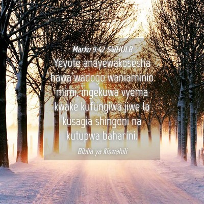Picture 04 - Marko 9:42 SWHULB - Yeyote anayewakosesha hawa wadogo waniaminio - Bible Verse Picture